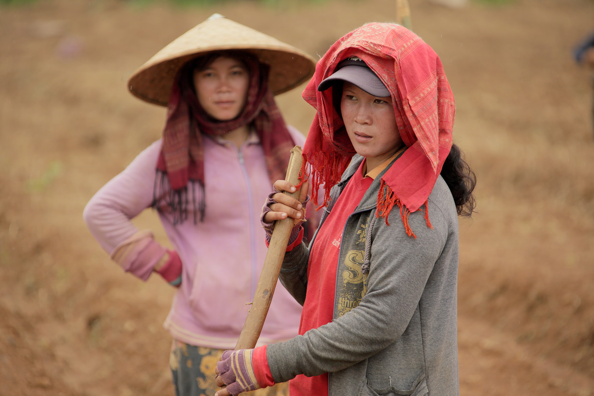 Laos agriculture