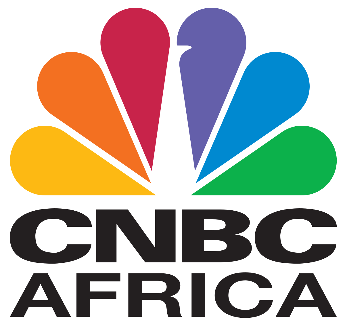 CNBC Africa logo