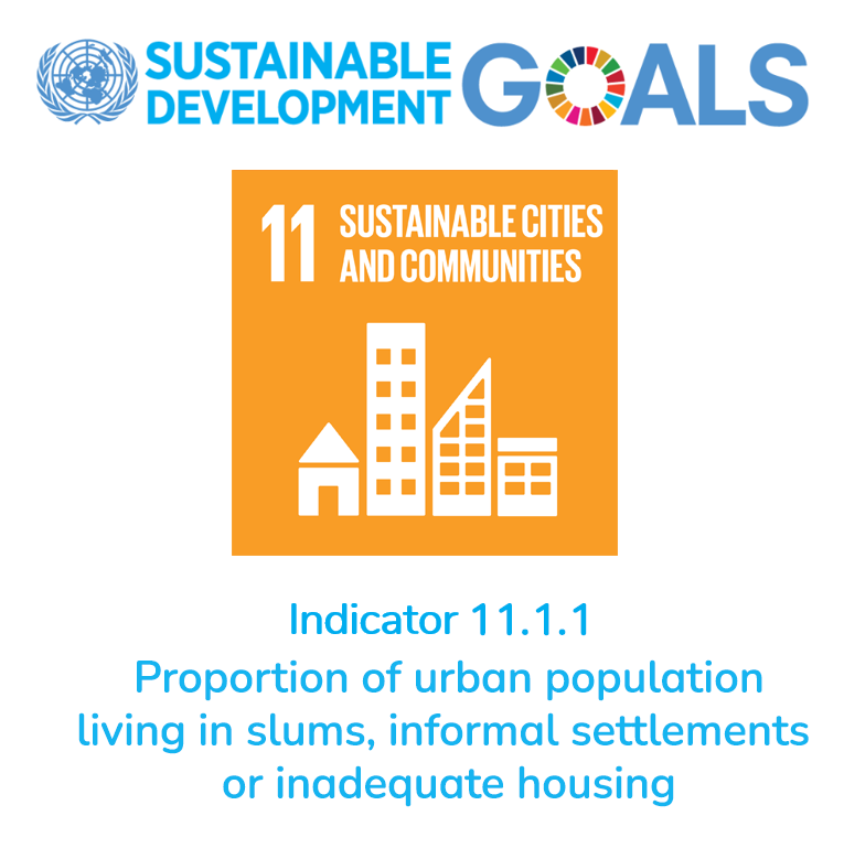 SDG11.1.1