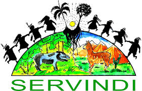 Servindi logo