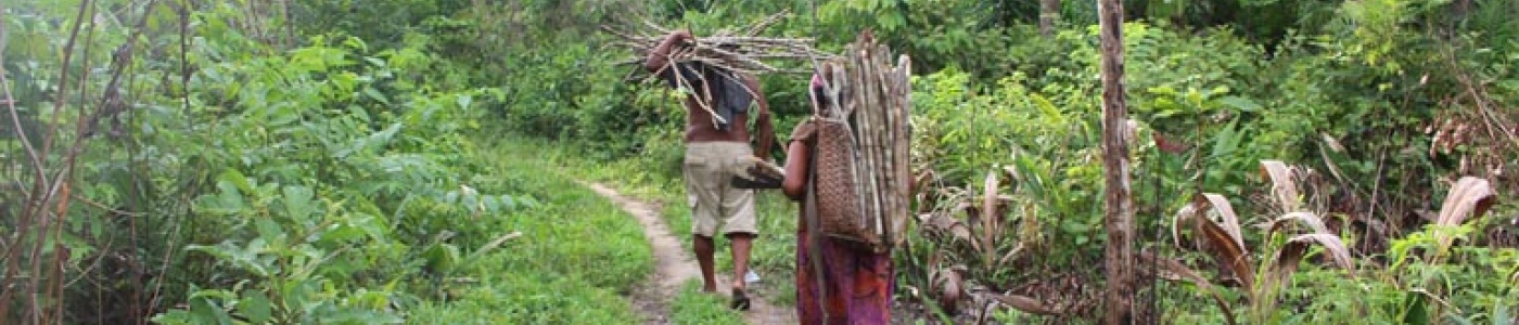 RRI - Forest Tenure Data