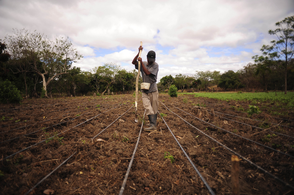 HEKS/EPER Land Forum 2018: Putting the Peasants Rights’ Declaration into practice CIAT picture