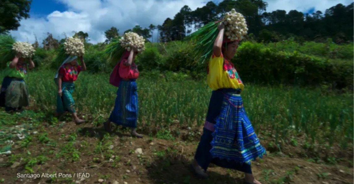 Photo by Santigao Albert Pons, IFAD