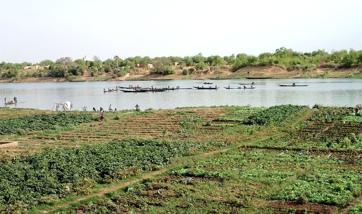 Podor-Dodel-et-Demette-une-concession-rizicole-marocaine-le-groupe-marocain-Sefrioui.jpg