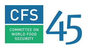 Committee on World Food Security (CFS 45) image