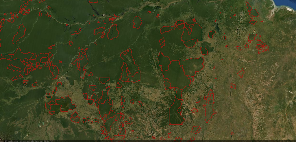 Indigenous forest tenure About the important role local people play in forest conservation and carbon management