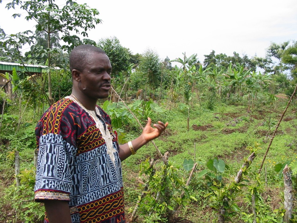 King Leopold’s Ghost and the 21st century scramble for Africa’s farms and foods by Joan Baxter