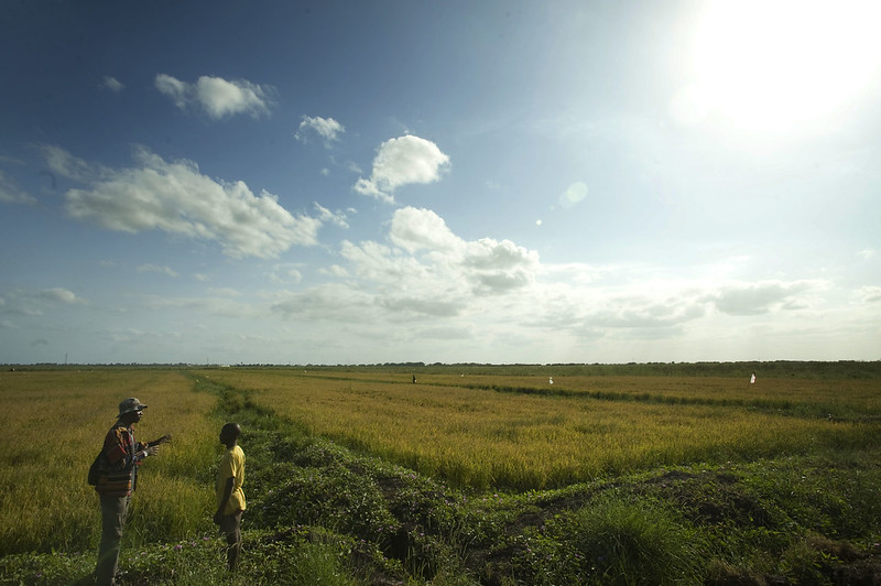 Foto: Jeffrey Barbee/Thomson Reuters Foundation/CIF Action/Flikr (CC BY-NC-ND 2.0)