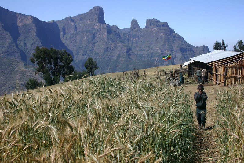  	Data-story-banner-Ethiopia-Leonard A. Floyd