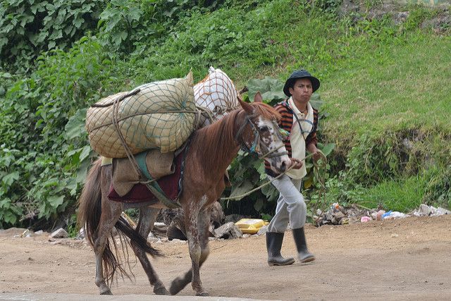 In many areas of the world, large-scale development projects threaten Indigenous People’s land and resources. Photo by David Amsler/Flickr