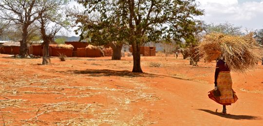 A woman returns to a farmer village near Dodoma, Tanzania (Photo: Cecilia Schubert, Creative Commons via Flickr)