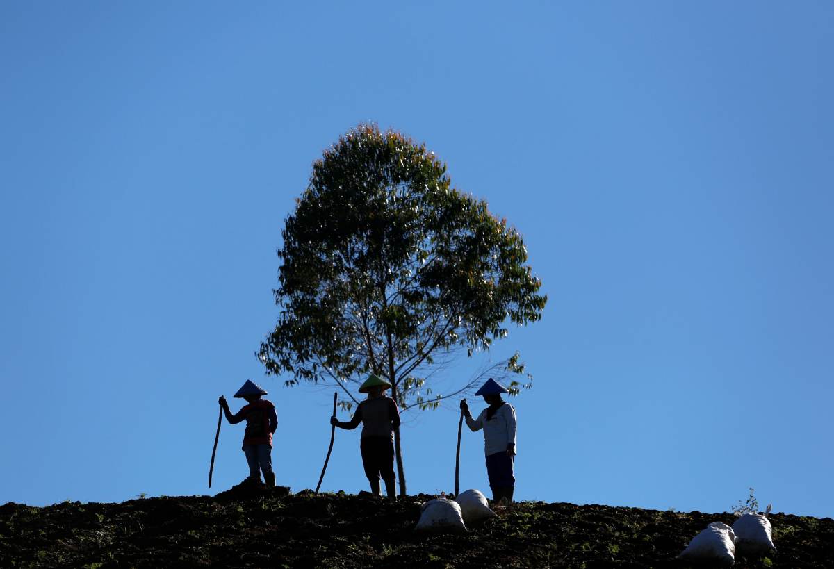 Women farmers use sticks to make holes in the soil for seeds, on a farm near Pangalengan, West Java, Indonesia, May 9, 2018. REUTERS/Darren Whiteside