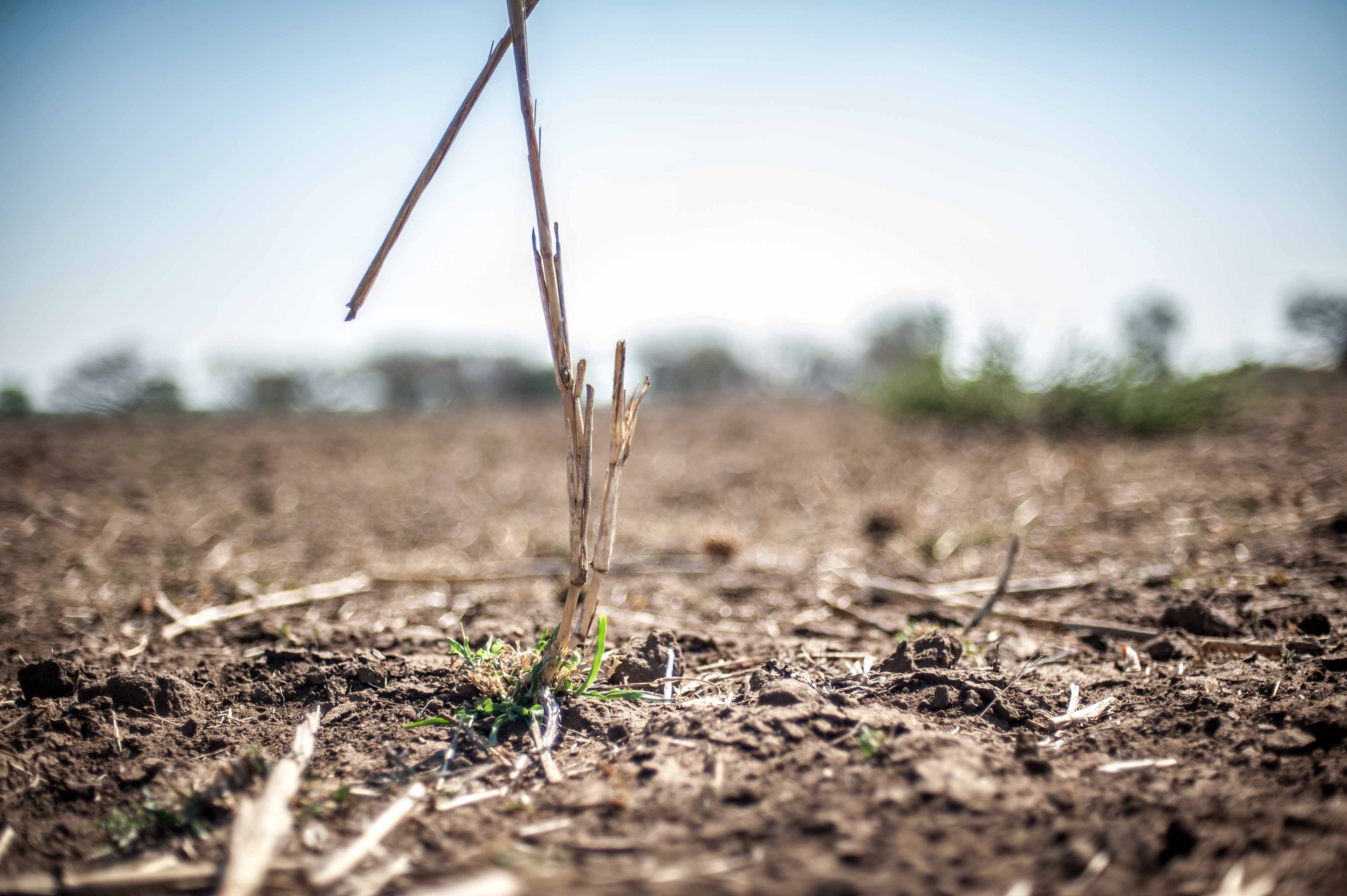 Southern Africa drought, Mozambique, 2016 By IFRC Attribution-NonCommercial-NoDerivs 2.0 Generic (CC BY-NC-ND 2.0) 