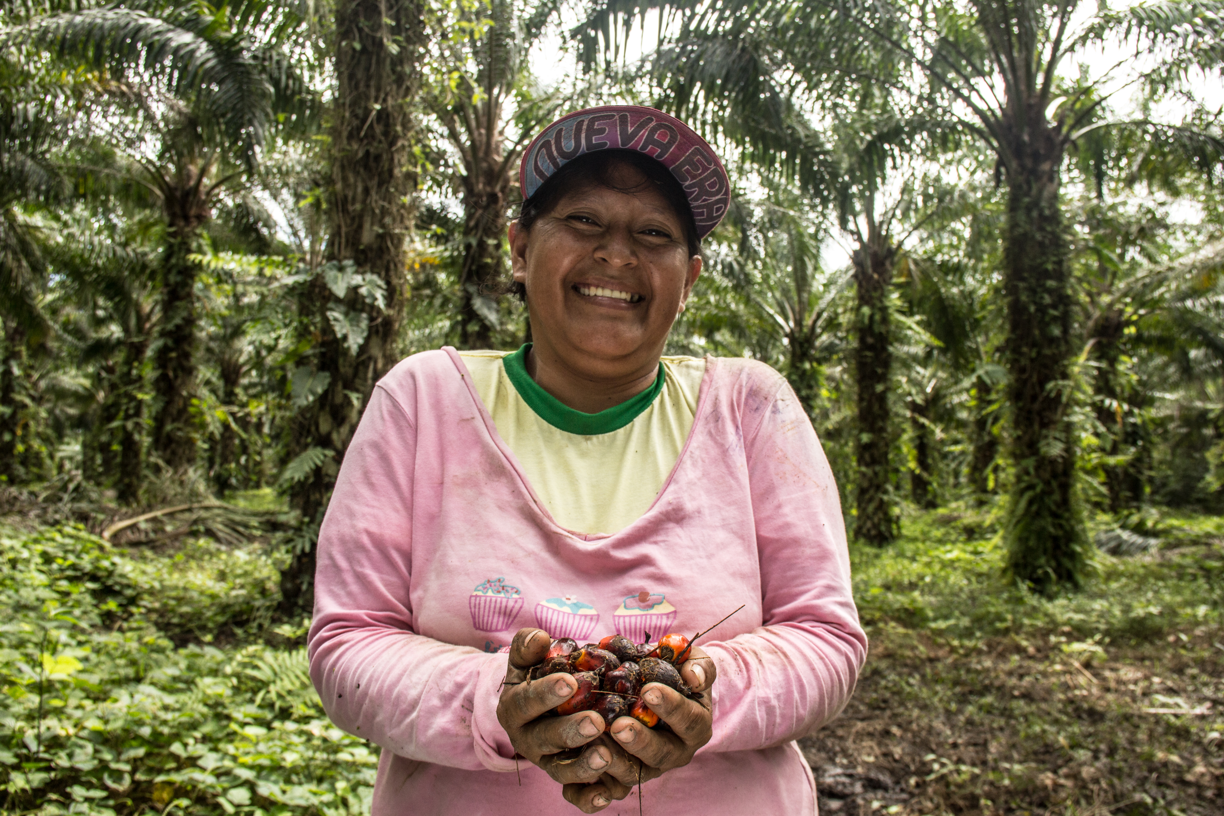 Women take part in the oil palm fruit collection in San Martin, Photo by Juan Carlos Huayllapuma/CIFOR , CC BY-NC-ND 2.0 license