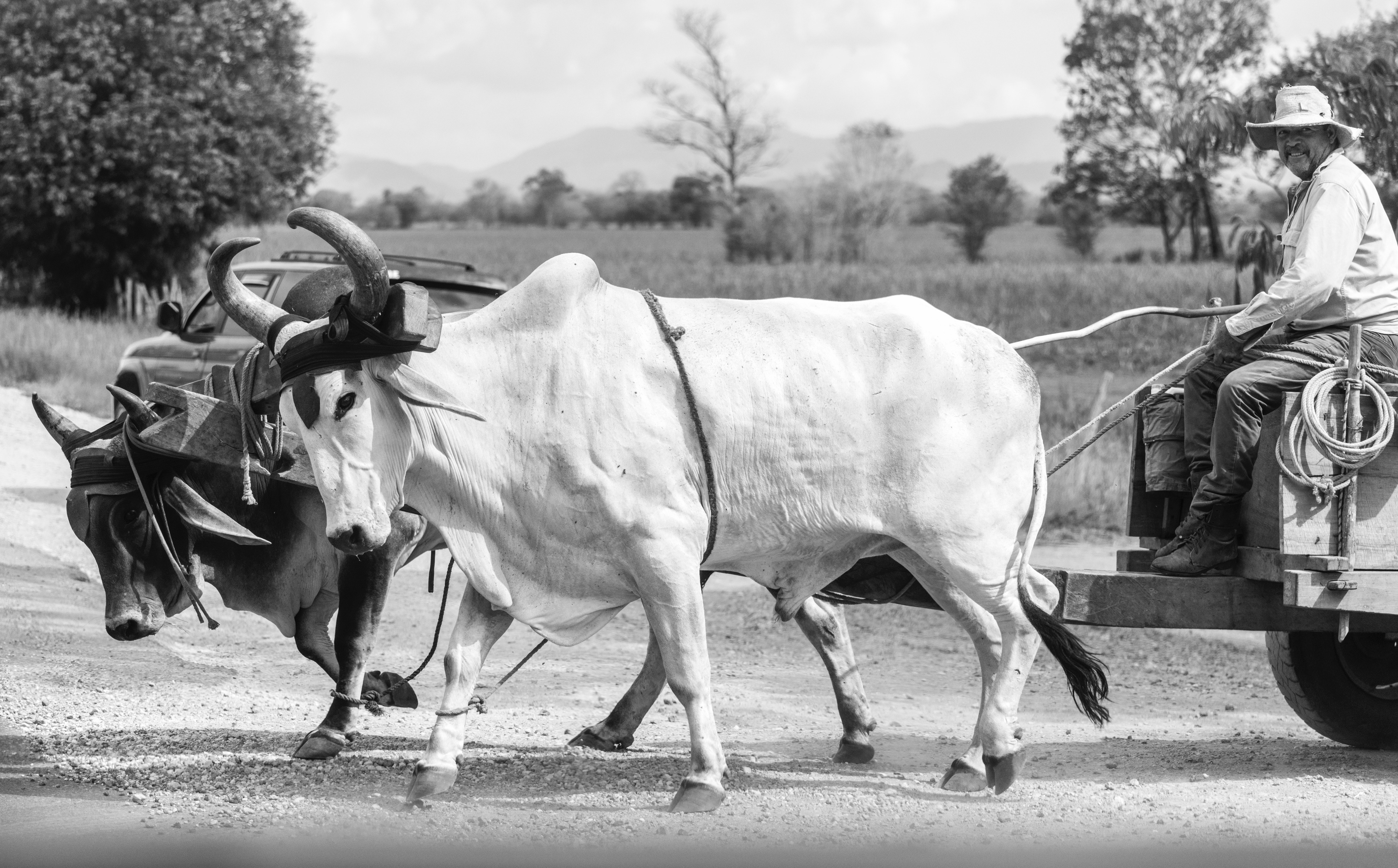 Agricultor_Costa Rica_Samuel Sweet.jpg 