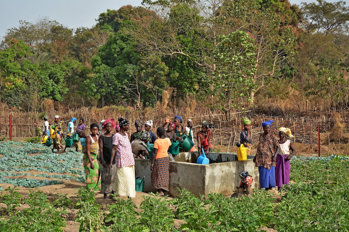 Country profile for Guinea, land governance situation