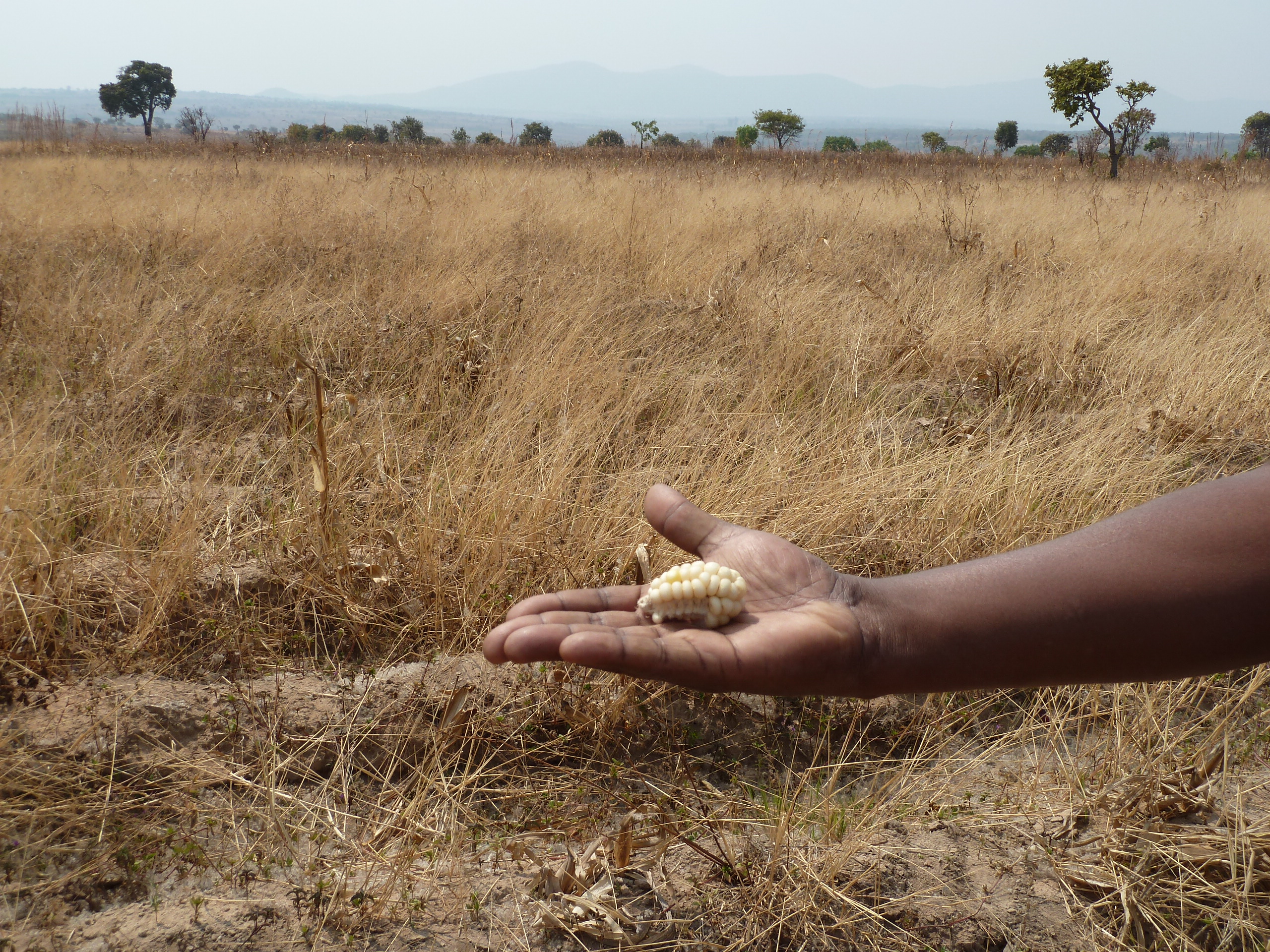 Persistent drought has gripped parts of Angola. Photo by EU Civil Protection and Humanitarian Aid via Flickr (CC-BY-NC-ND 2.0 license)