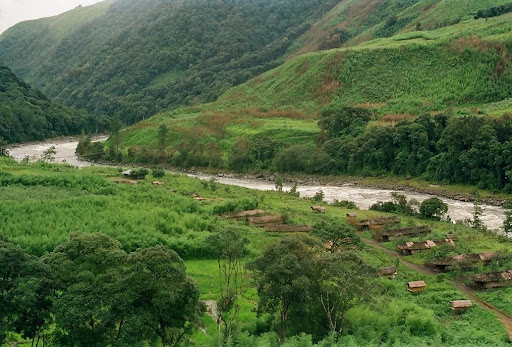 Farms and Forest, Martali village, Eastern India, photo by goldentakin, Creative Commons license - Attribution 2.0 Generic (CC BY 2.0)