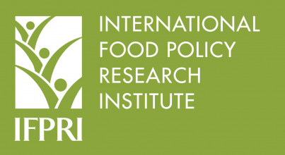 International Food Policy Research Institute