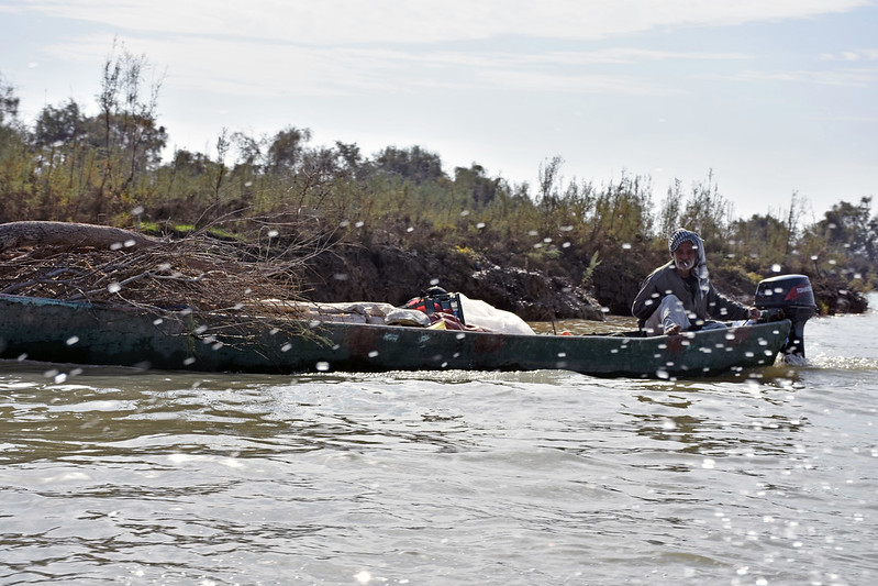 Life in Iraq's marshlands, photo by UNDP Iraq, License CC BY-NC 4.0