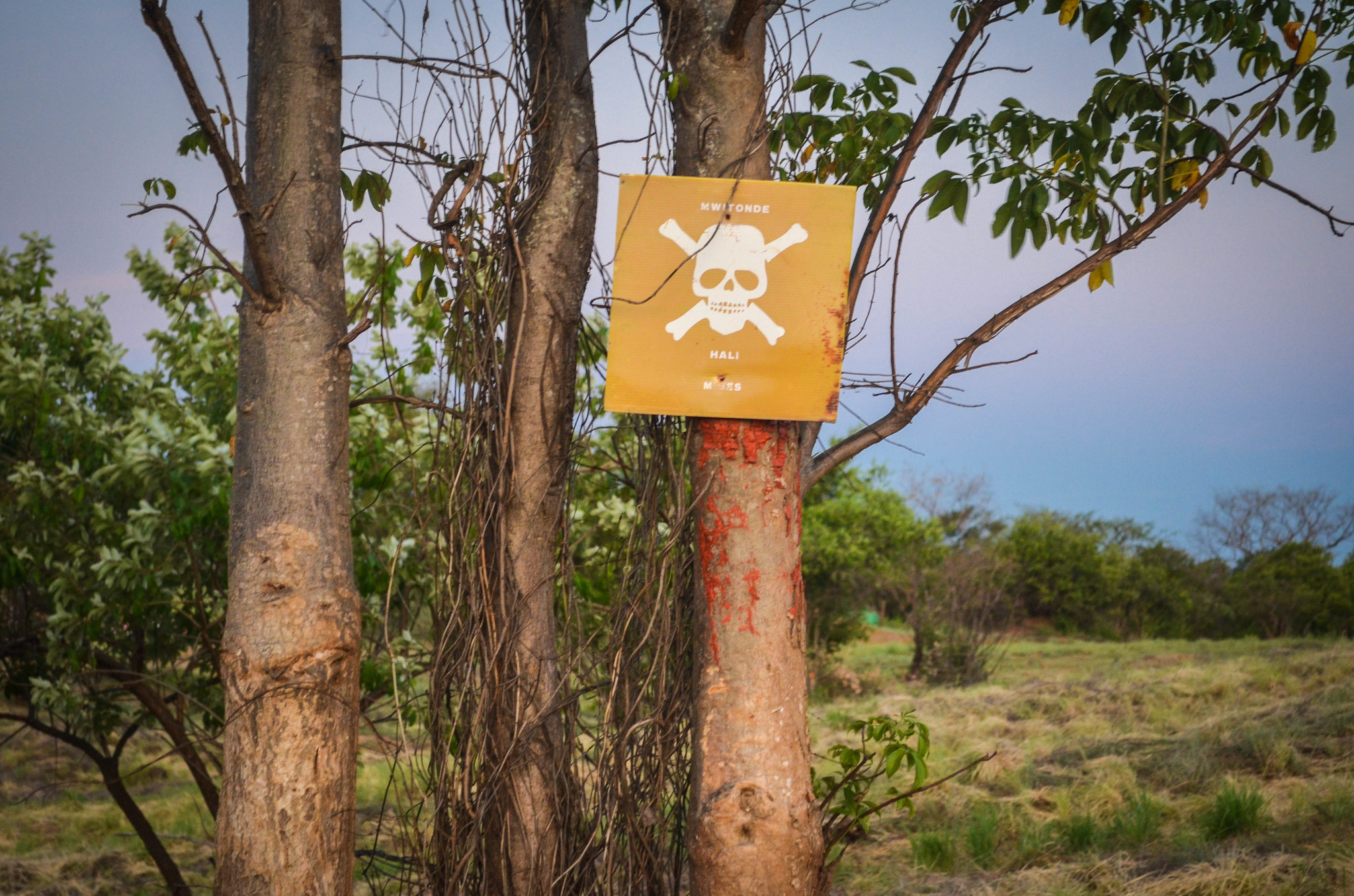 Danger: Land mines Photo by JBDodane via Flickr (CC-BY-NC-ND 2.0 license)