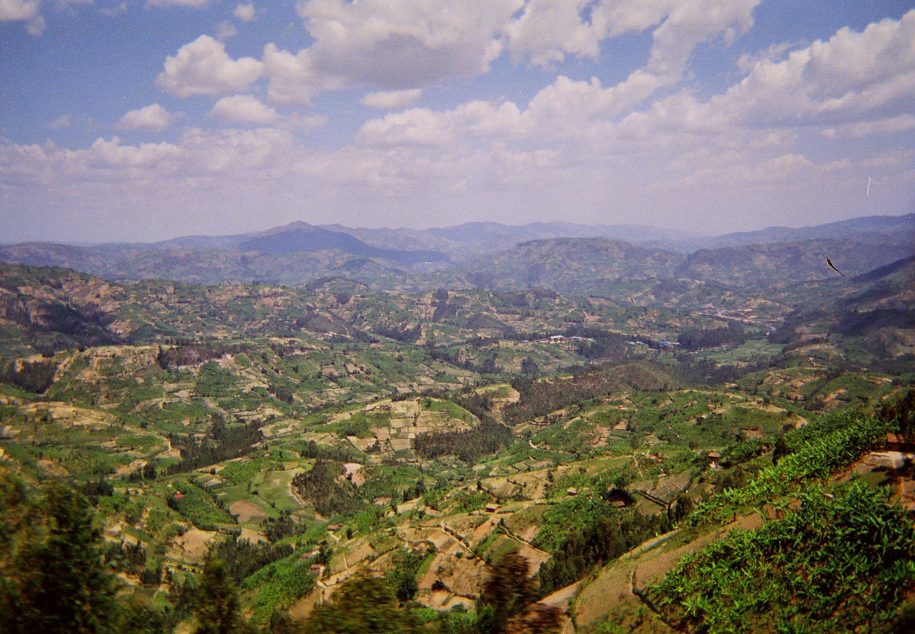 Rwandan landscape Photo Jon Evans CC BY-NC-ND 2.0