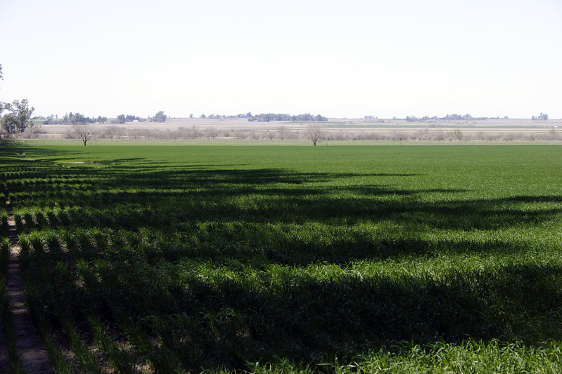 Alimentación en Argentina: Entre los derechos y los negocios