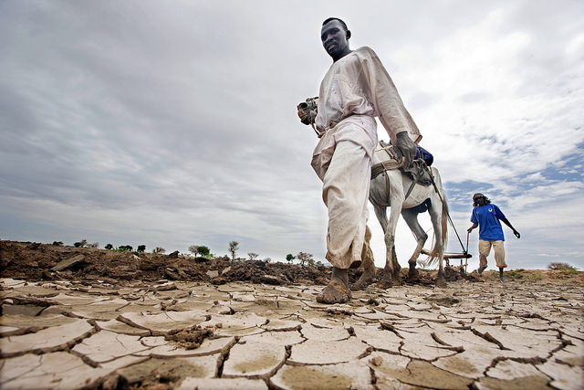 Men displaced from Shangil Tobaya farm rented land for the rainy season in Dali, close to Tawila in the Sudanese state of North Darfur. They are part of a community of displaced persons who have set up camp in Dali, fleeing the heavy fighting that took pl