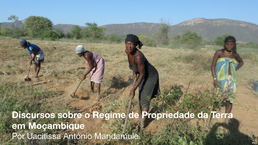 Fonte da Fonto: Farmlandgrab.org