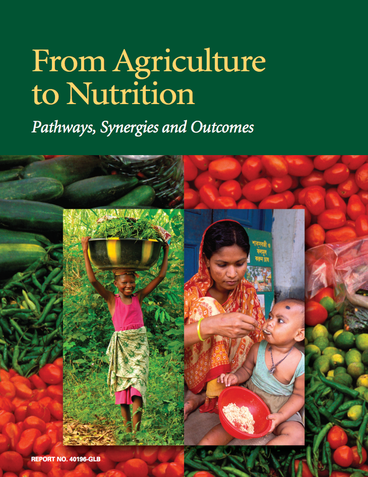 From Agriculture to Nutrition: Pathways, Synergies and Outcomes cover image