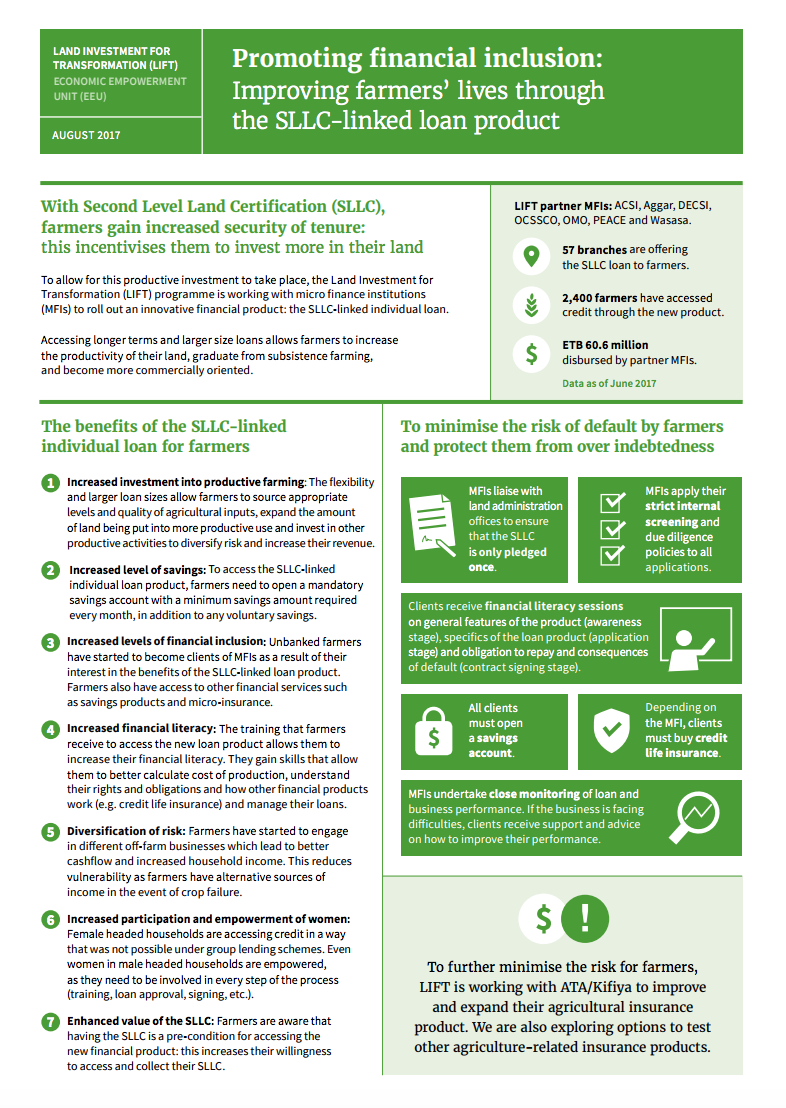 Promoting financial inclusion cover image