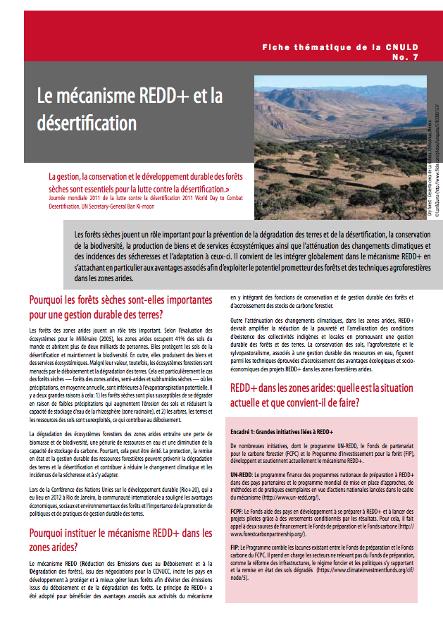 Le mécanisme REDD+ et la désertification cover image