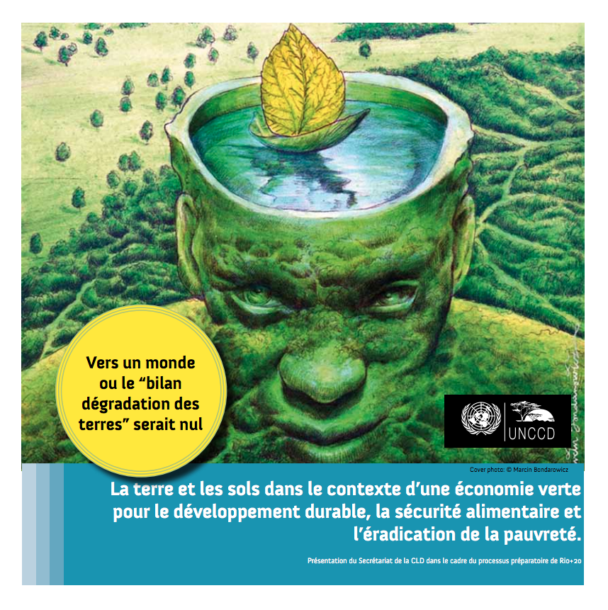 La terre et les sols dans le contexte d’une économie verte pour le développement durable, la sécurité alimentaire et l’éradication de la pauvreté cover image