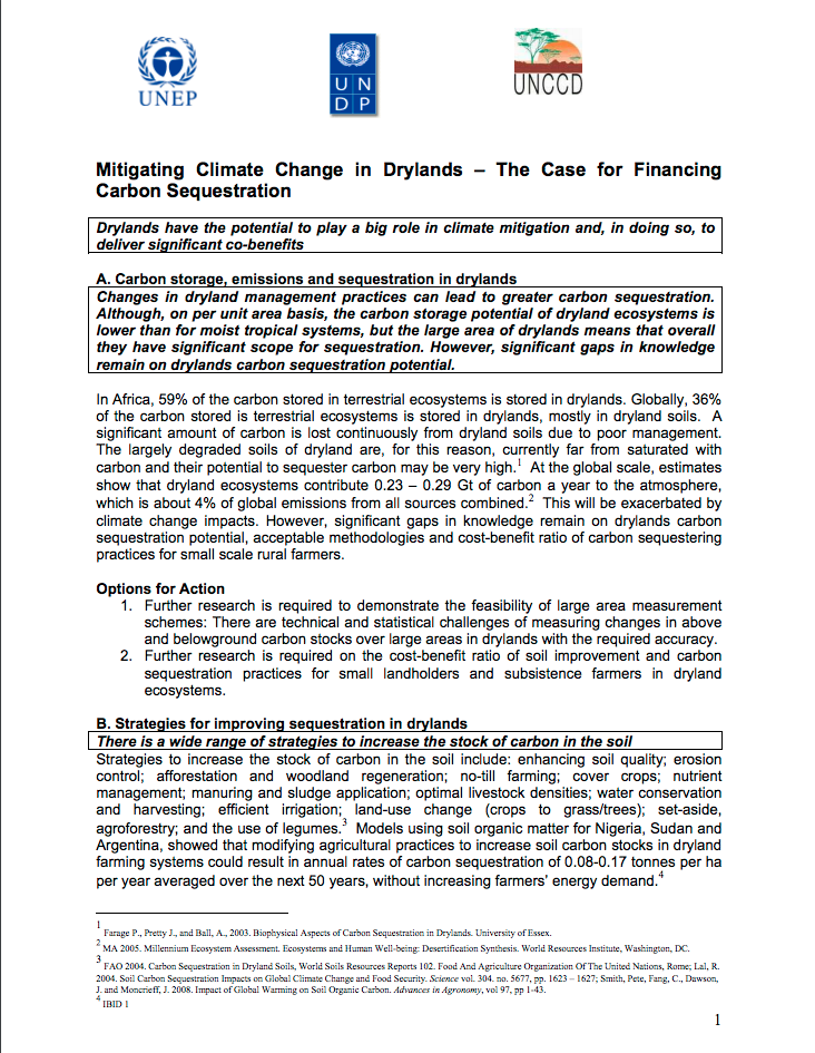 Mitigating Climate Change in Drylands – The Case for Financing Carbon Sequestration cover image