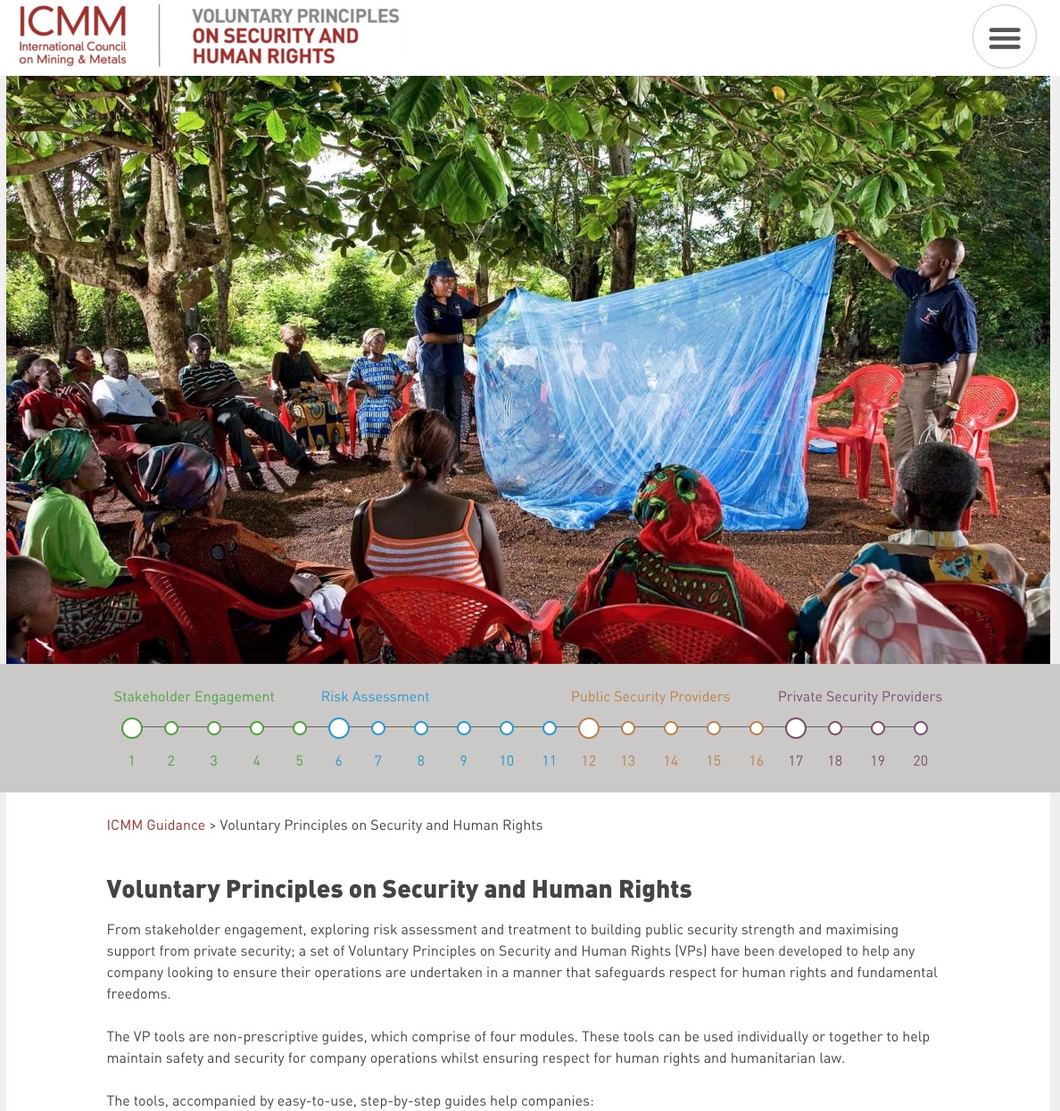 Voluntary Principles on Security and Human Rights