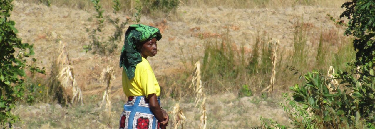 Woman in the farm