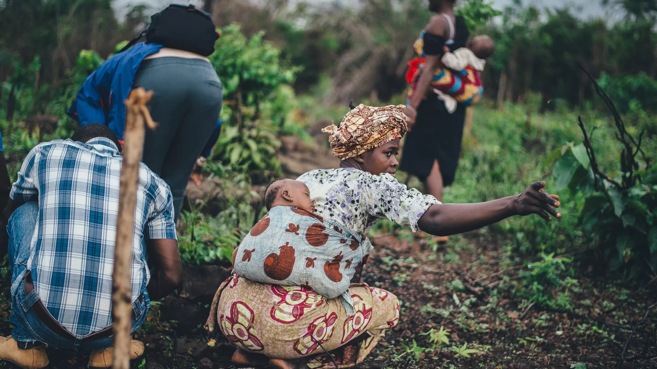 Des paysans et des paysannes en Sierra Leone, en 2017. © Annie Spratt / Unsplash