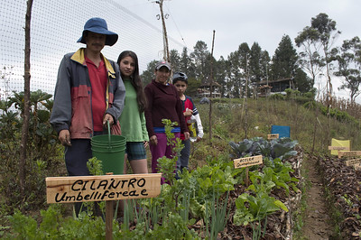 Agricultura familiar