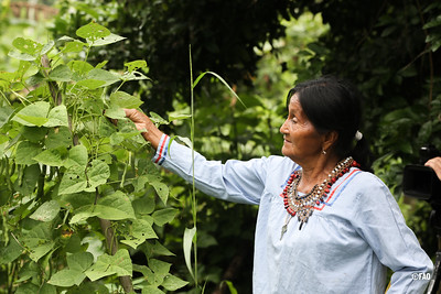 agricultora