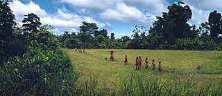 Amazonia peruana