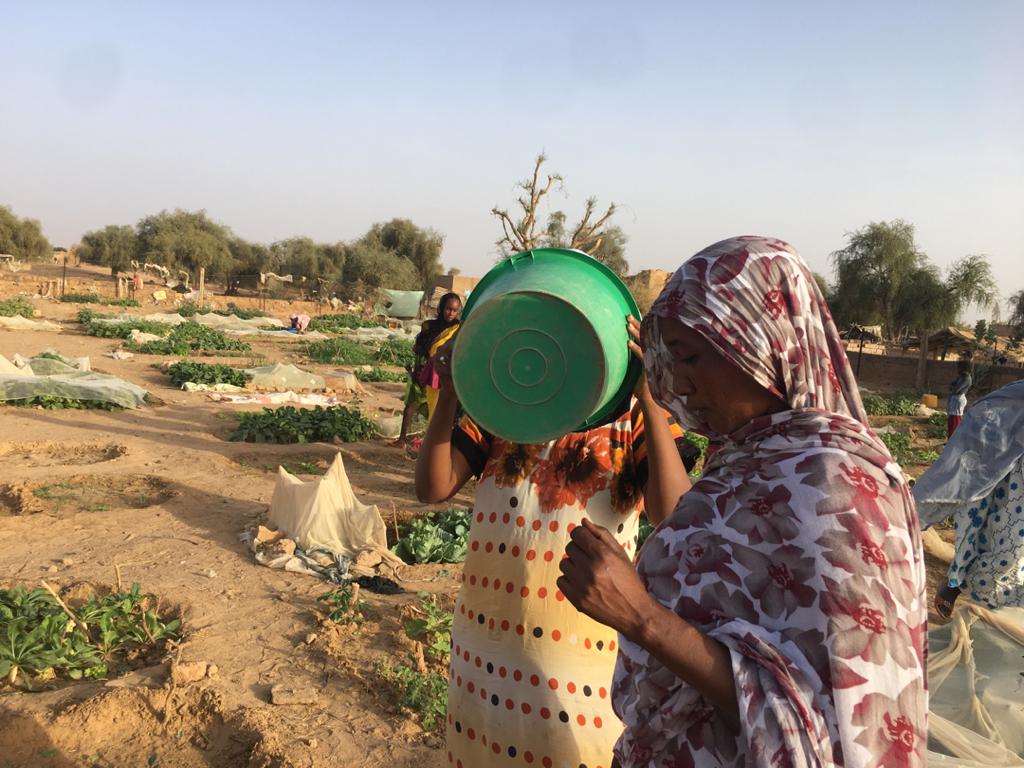 femmes mauritaniennes