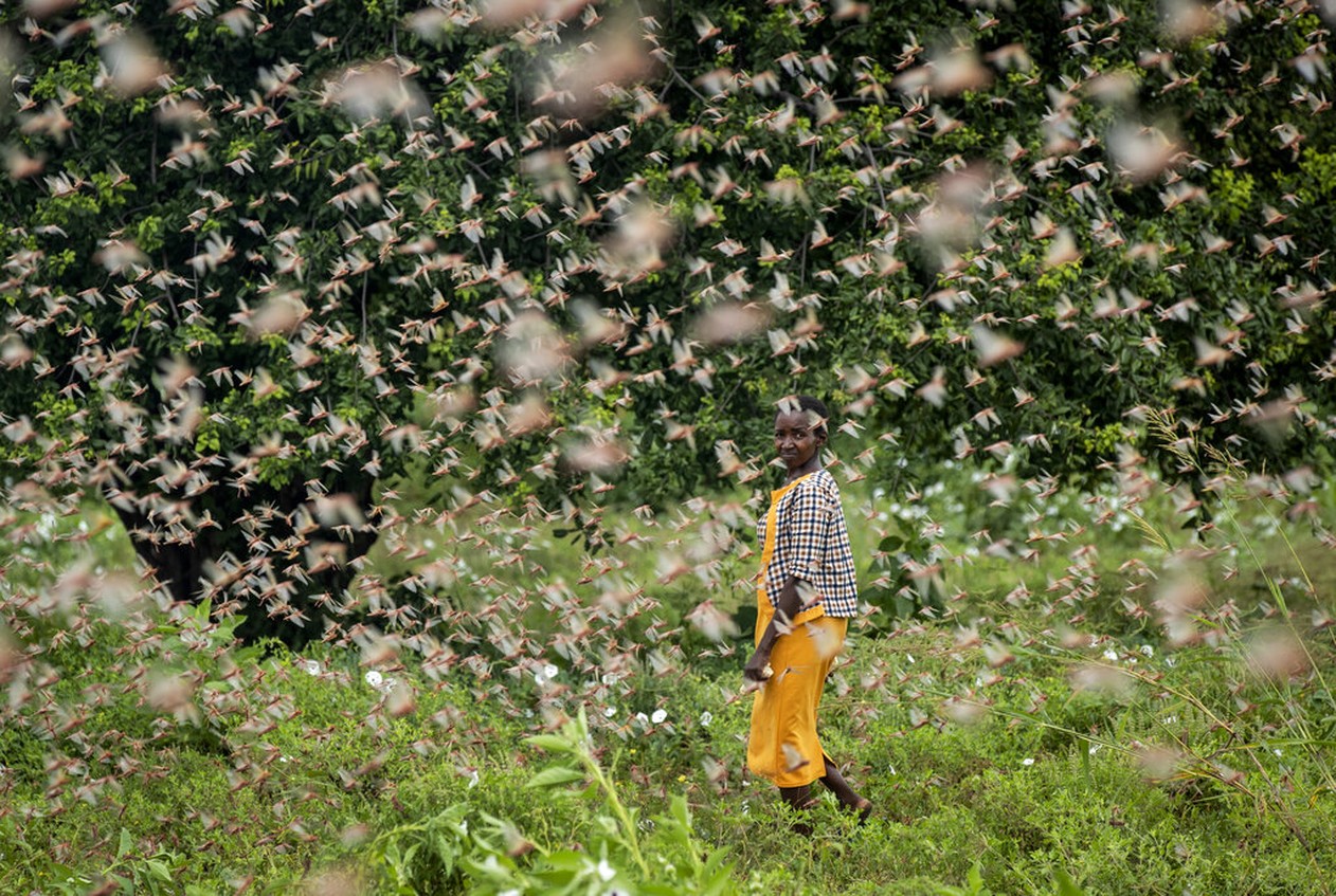 Foto: Ben Curtis/AP