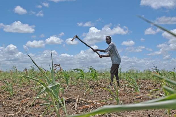 Land Tenure Officer Job Opportunity