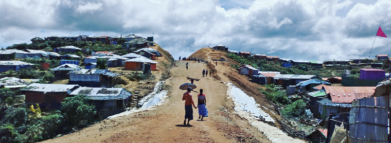 Cox’s Bazar has lost 2,500 hectares of forest land due to the Rohingya influx which began in 2017