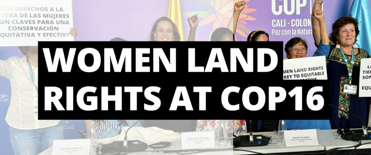 Women's land rights at cop16