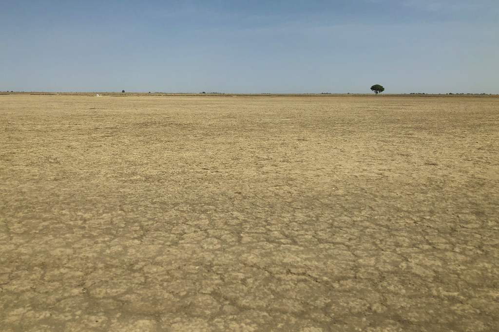 desertification