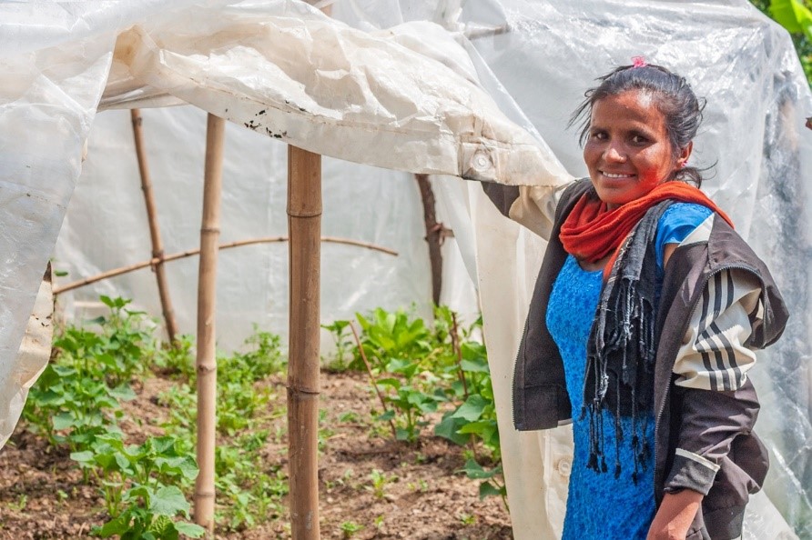 De jeunes plants de concombre dans la serre installée par Bimala grâce au Projet en faveur de l’adaptation des petits paysans des zones collinaires (ASHA) financé par le FIDA. © FIDA/Kaushal Shrestha