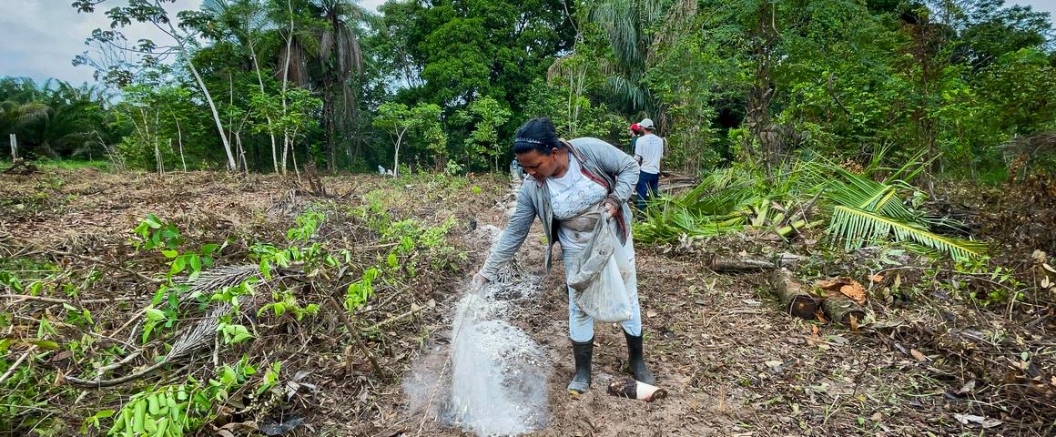 Action de restauration forestière dans l'État du Pará au Brésil, via des pratiques agroécologiques autour de la santé des sols et de la mobilisation de la biodiversité locale © Ianca Moreira, Refloramaz