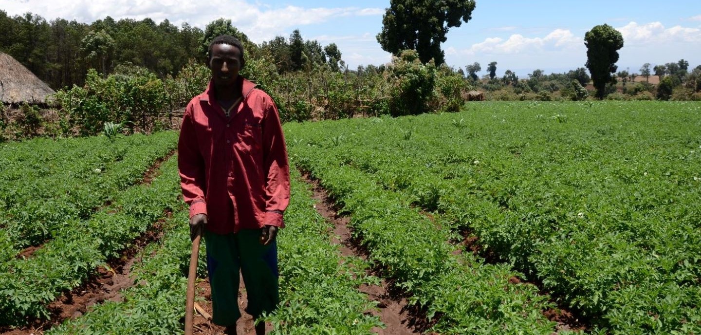 En Éthiopie, des agriculteurs se sont associés au FIDA pour élaborer une agriculture climato-compatible. © FIDA/Wairimu Mburathi