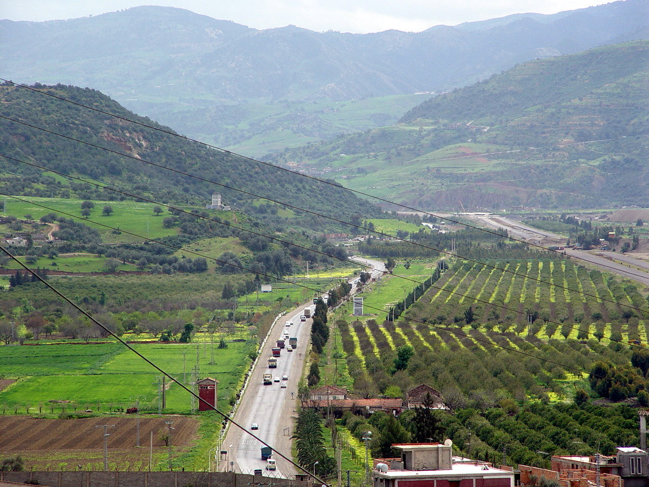 terrain-algerie.jpg